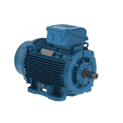 Motore Asincrono Trifase W22