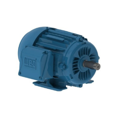 WEG W22