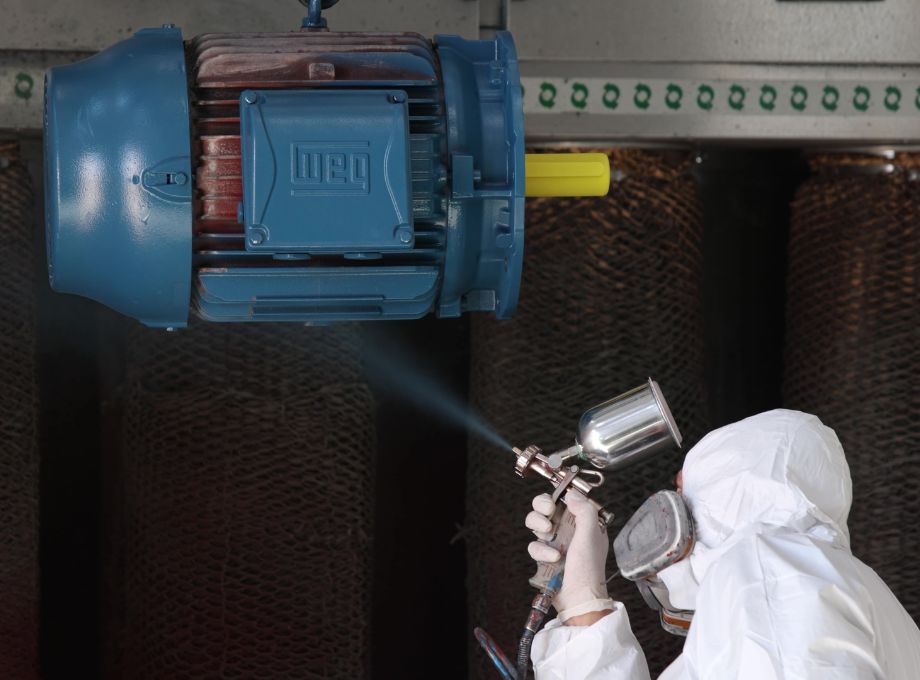 Motore elettrico WEG con verniciatura speciale